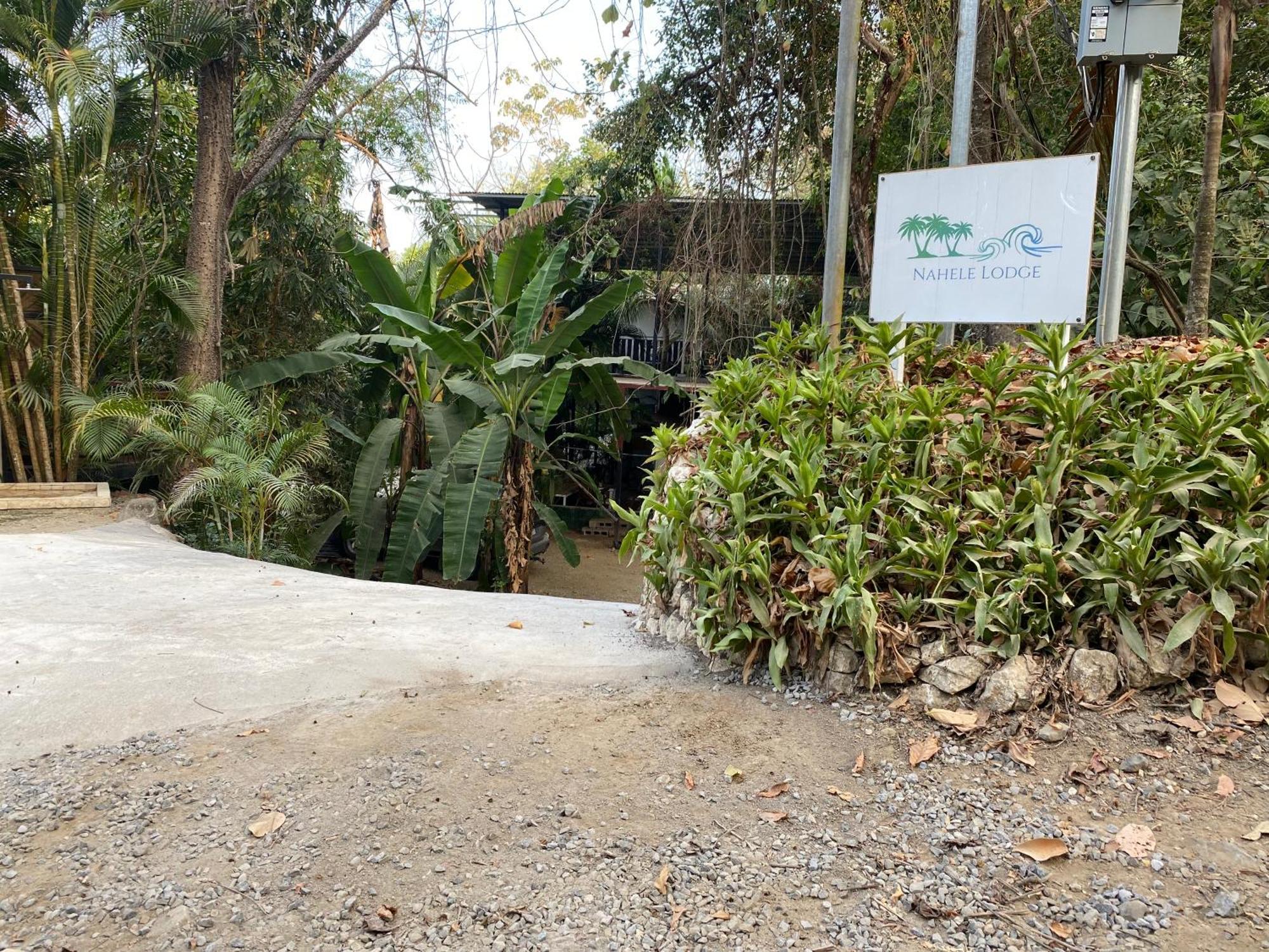 Nahele Lodge Playa Santa Teresa  Ngoại thất bức ảnh