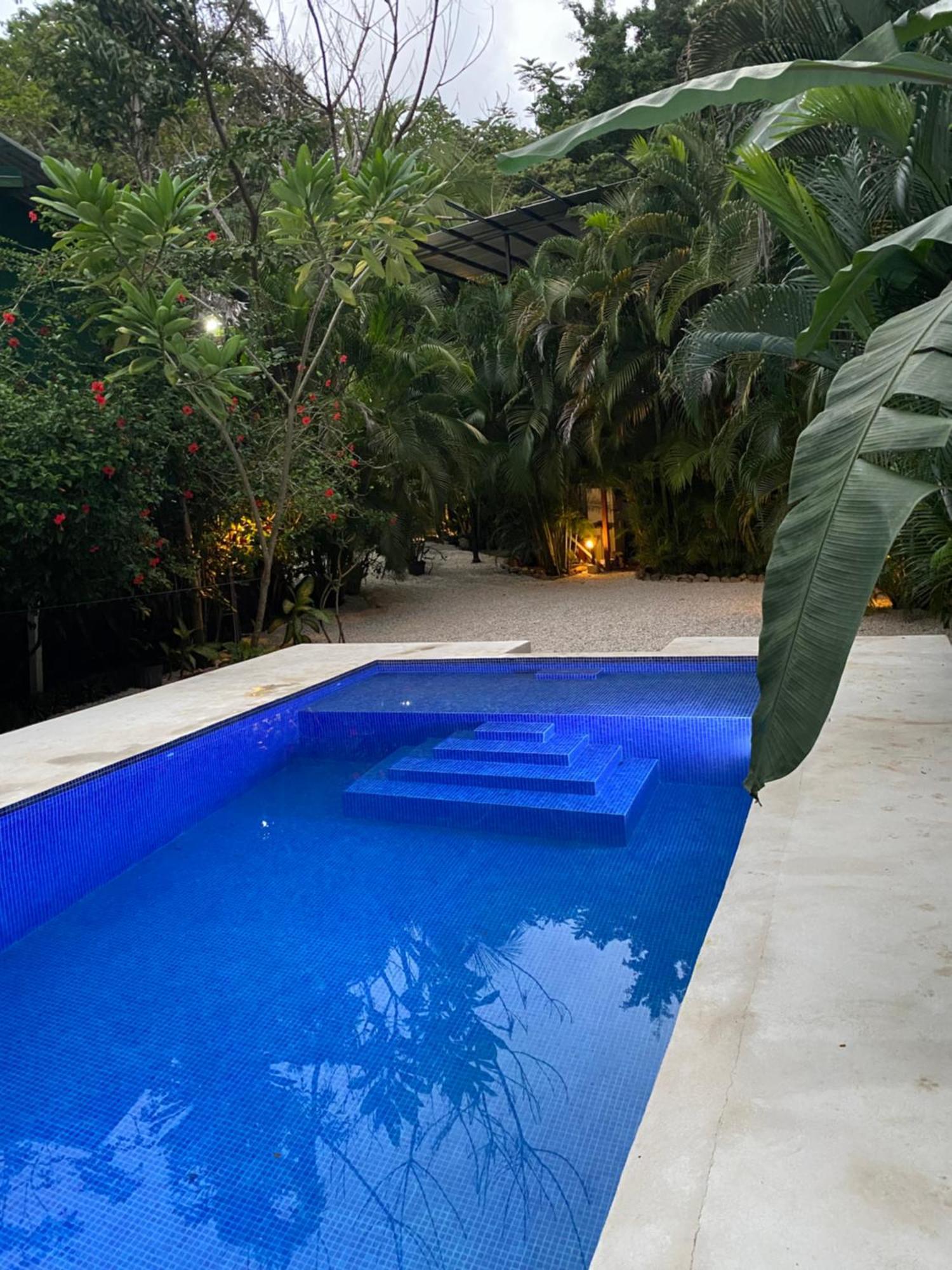 Nahele Lodge Playa Santa Teresa  Ngoại thất bức ảnh